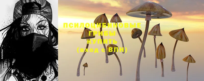 Галлюциногенные грибы MAGIC MUSHROOMS  Каспийск 