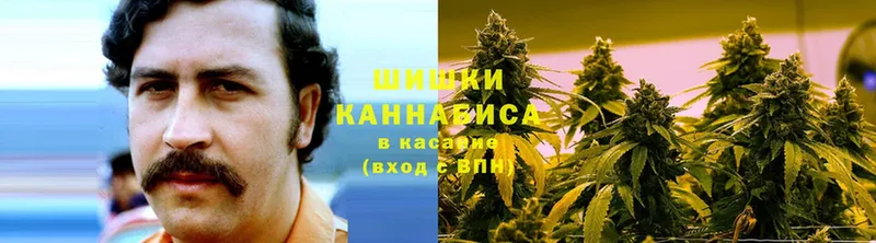 купить наркоту  kraken сайт  Бошки Шишки Ganja  Каспийск 